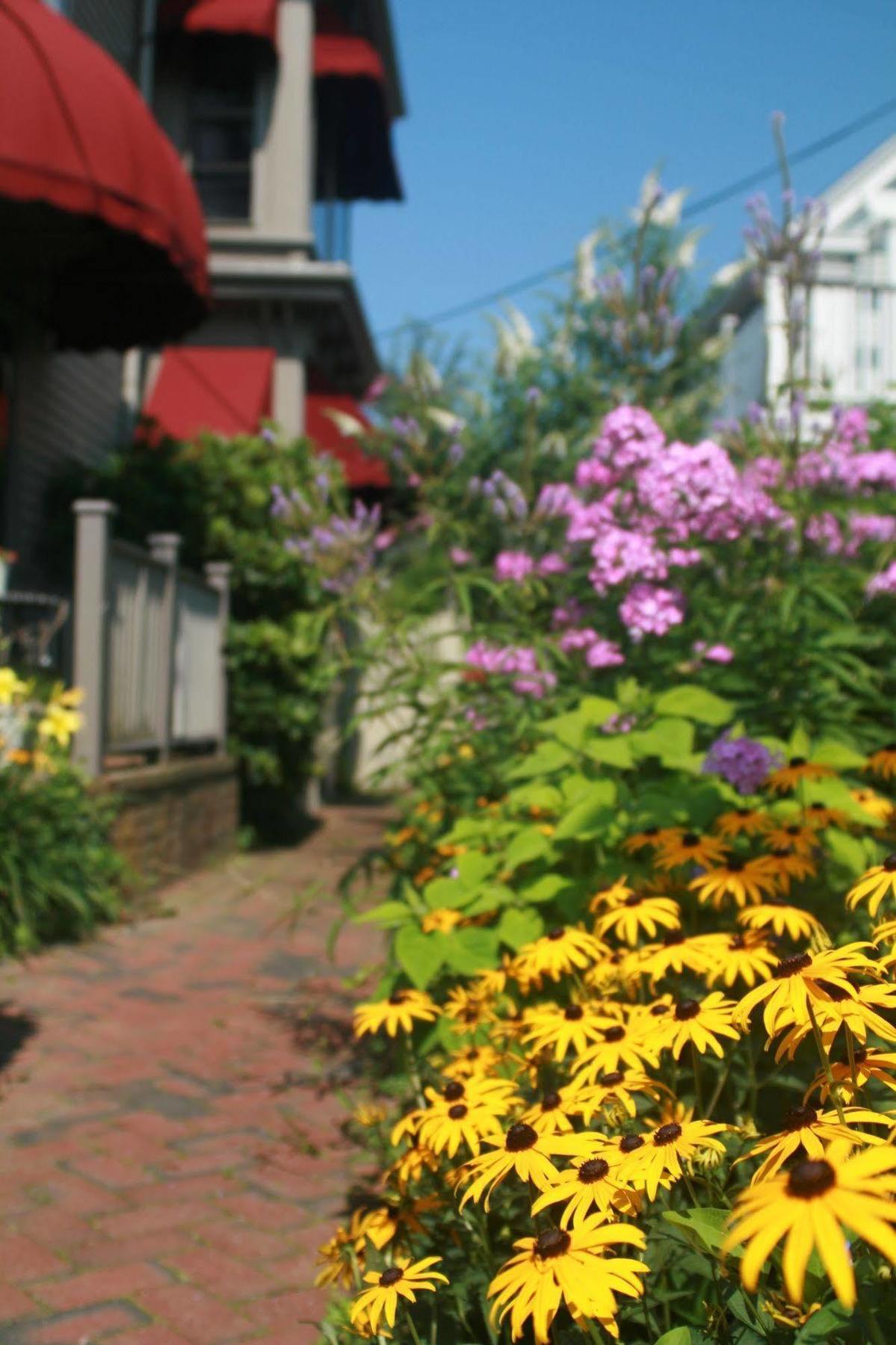 Prince Albert Guest House, Provincetown Exterior photo